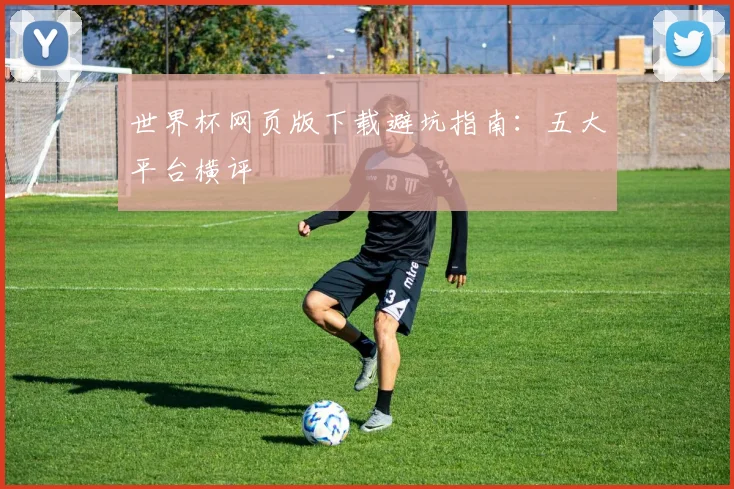 世界杯网页版下载避坑指南:五大平台横评