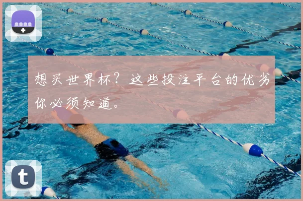 想买世界杯？这些投注平台的优劣你必须知道。