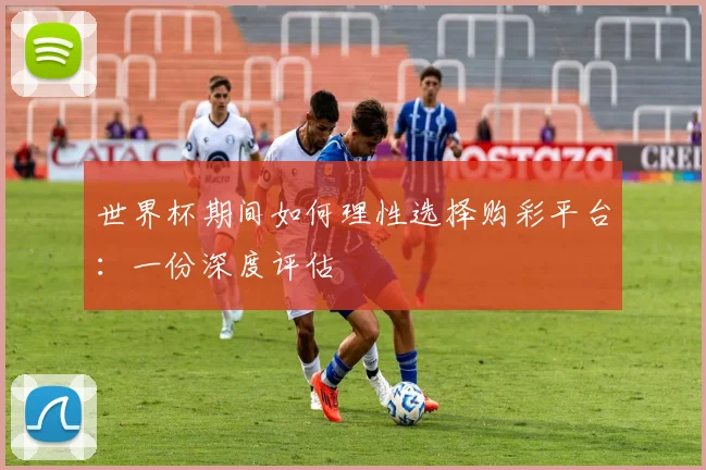 世界杯期间如何理性选择购彩平台：一份深度评估