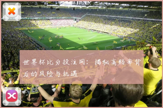 世界杯比分投注网：揭秘高赔率背后的风险与机遇