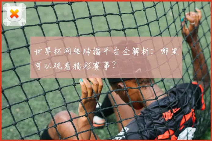 世界杯网络转播平台全解析:哪里可以观看精彩赛事?