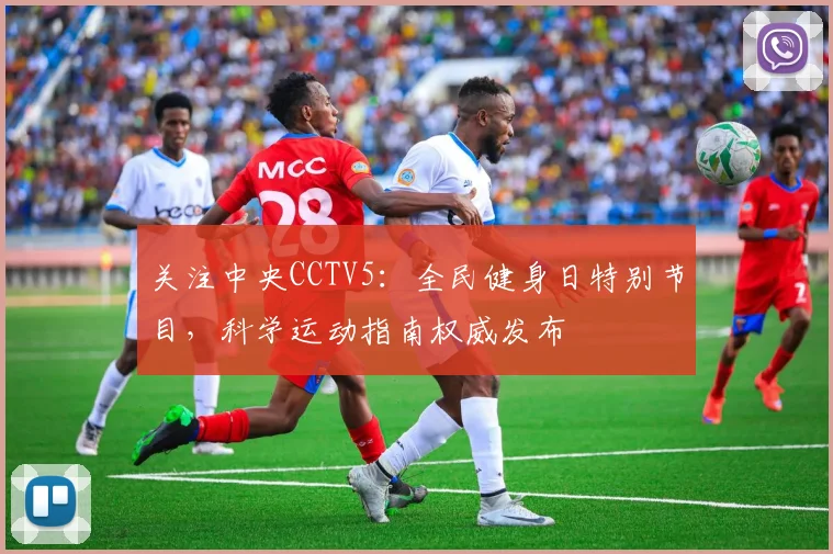 关注中央CCTV5:全民健身日特别节目,科学运动指南权威发布